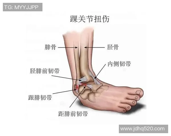 足球明星脚踝伤情与复出之路：影响比赛表现的关键部位解析